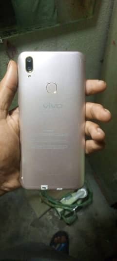 vivo