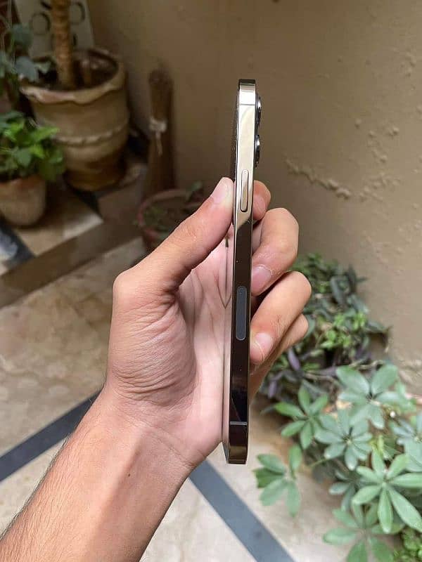 iPhone 12 pro max pta approved 3