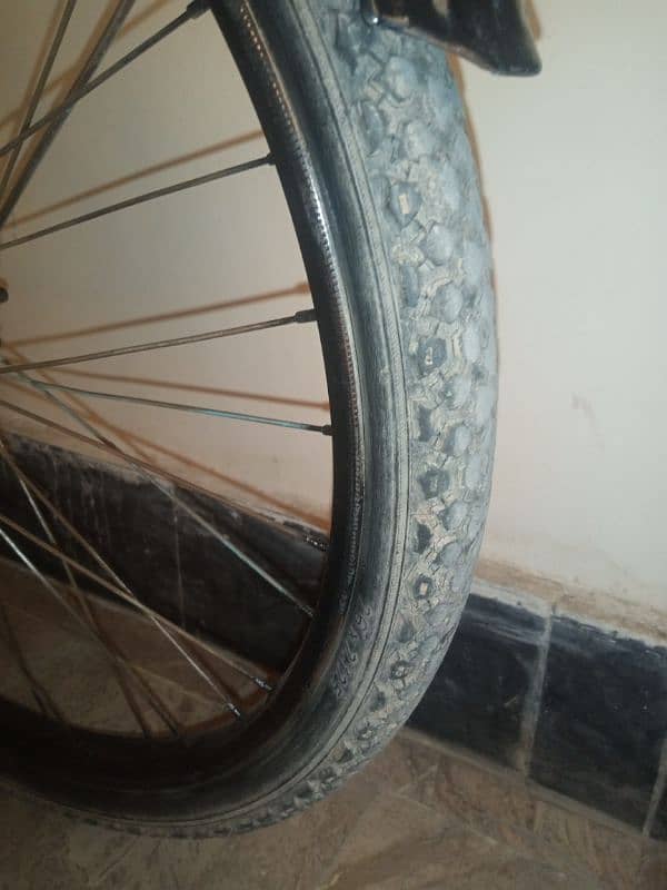 Cycle Urgent for sale watsapp 03065312589 3