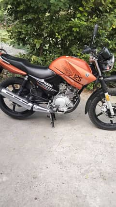 Yamaha YBG 125 Model 2024