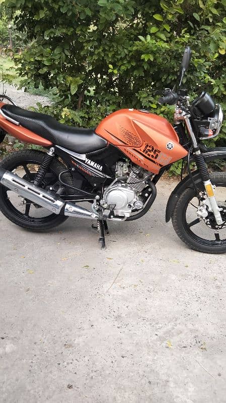 Yamaha YBG 125 Model 2024 0