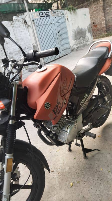 Yamaha YBG 125 Model 2024 1