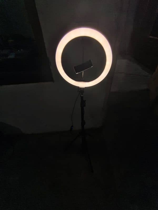 Ring lights with stand 2