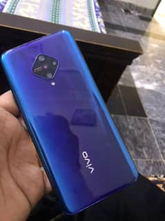 vivo