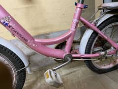 pink Cycle for girl