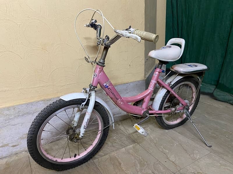 pink Cycle for girl 2