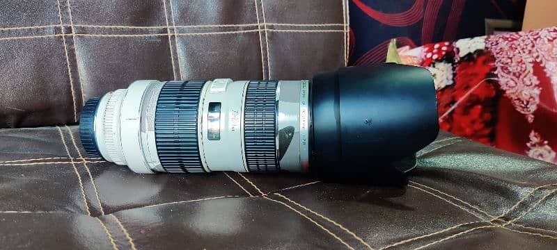 Canon 6D With 70-200 f2.8 4