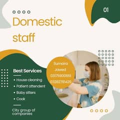 provide neat n clean domestic staff