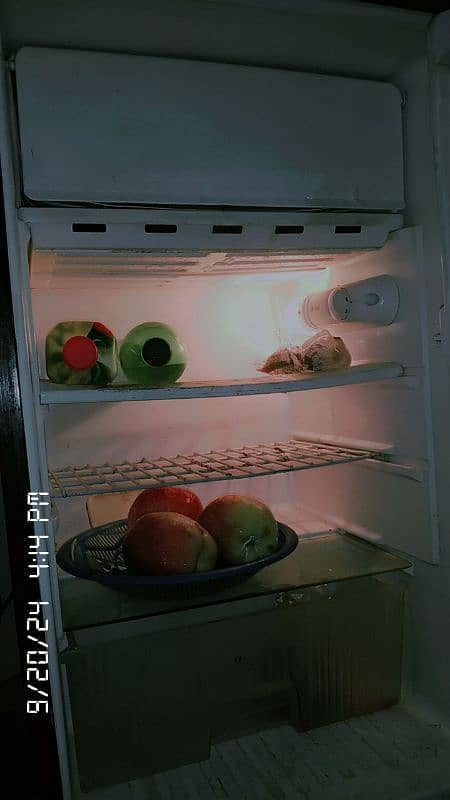 panatron fridge for sale 1