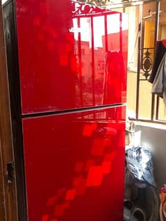 pel glass door lrage size