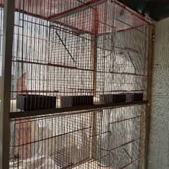 new cage urgently sell no use