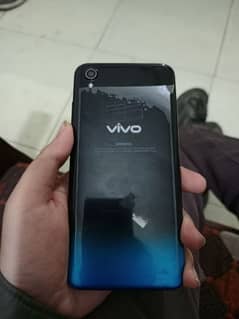 vivo