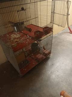 2 Portions Cage 1.5×2 ft