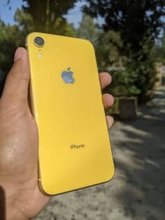 Iphone XR 64gb non pta factory unlocked