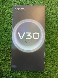 vivo v30 12/256 colour Green