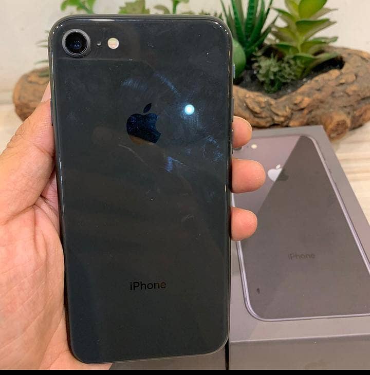 iPhone 8 (PTA Approved) 2