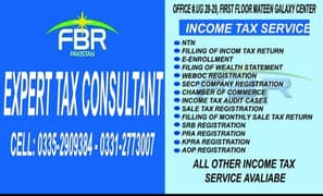 Expert Tax Consultant