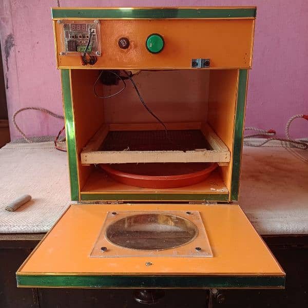 Hen Eggs Manual Incubator for 25 eggs 2