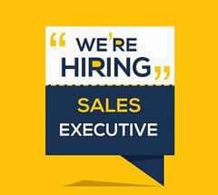 Sales Executive