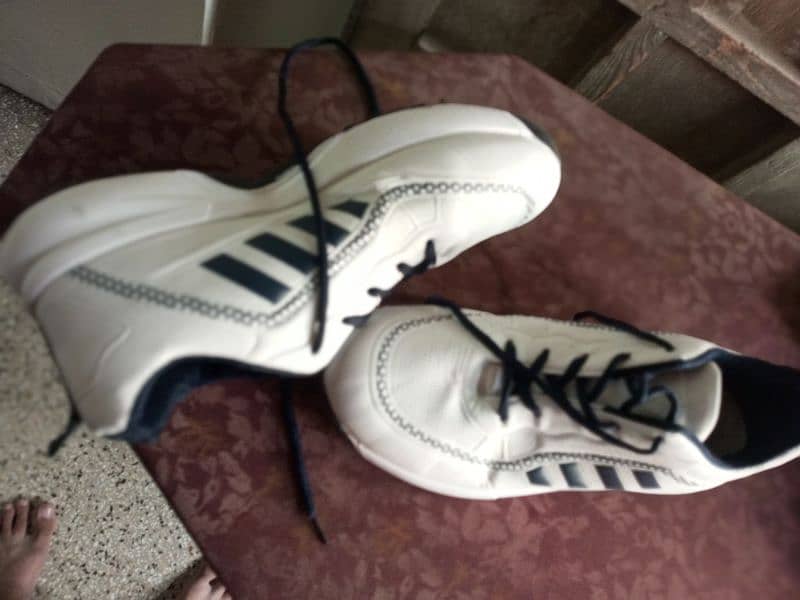 Sports Shoes for jogging and cricket 3