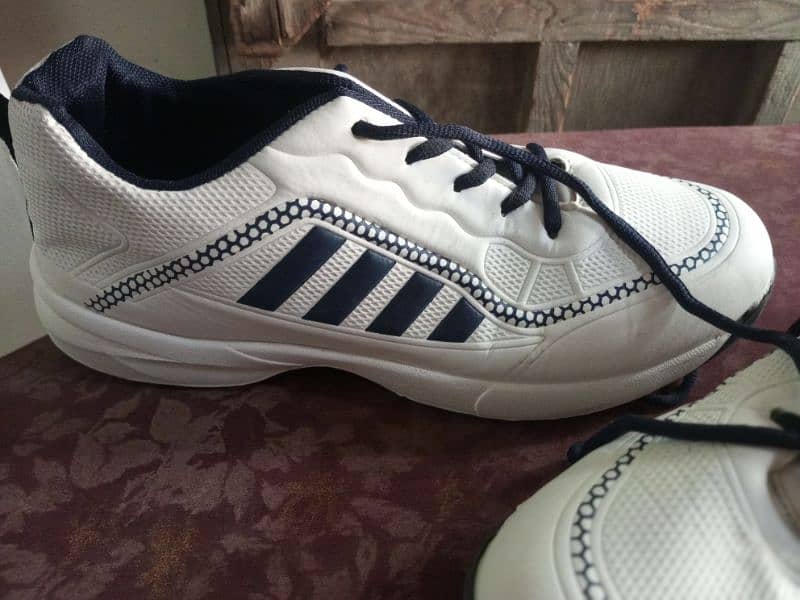 Sports Shoes for jogging and cricket 4