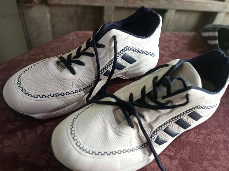 Sports Shoes for jogging and cricket 5