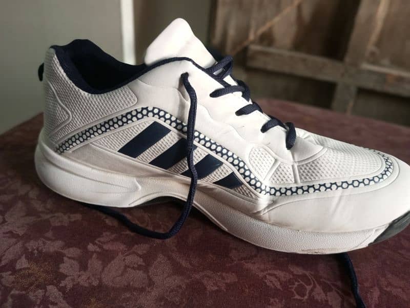 Sports Shoes for jogging and cricket 10