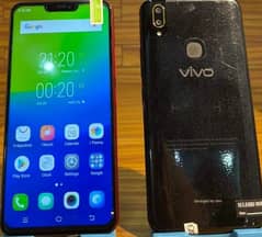 vivo