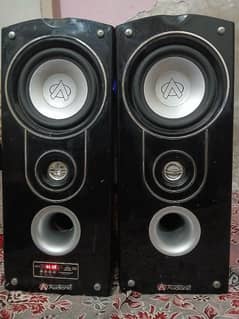 audionic