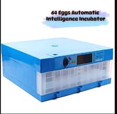 64/128 Eggs Full Automatic Ac/Dc Imported Intelligence Incubator