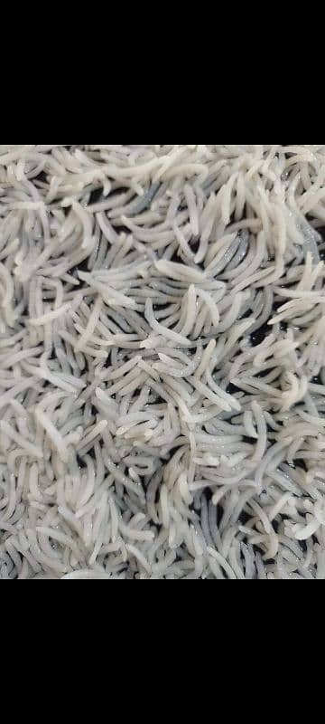 special basmati rice kainat 1121 double steam in price of 6500 3