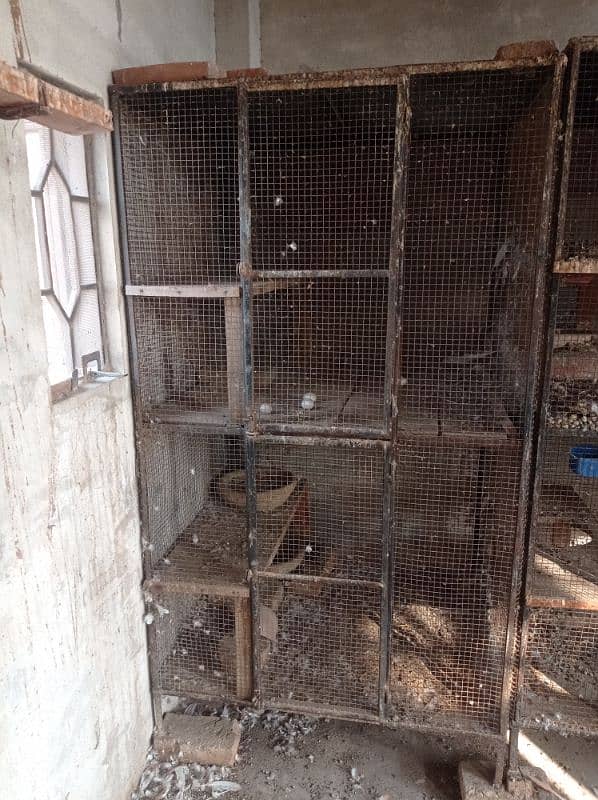 5.6 ft cage for sale. . each box of measurements 2.6ft 3ft. . 6 pcs 3