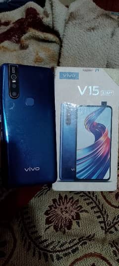 vivo