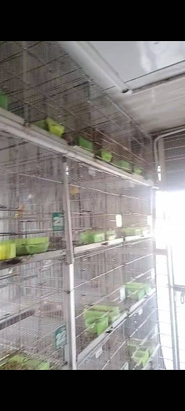 birds cages for sale 2