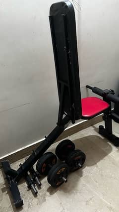 Gym Bench dumbell recline