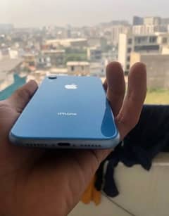 iPhone xr 64gb pta approved