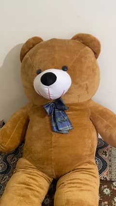 Teddy Bear/gifts for anniversary / for birthday /for Couples /for kids