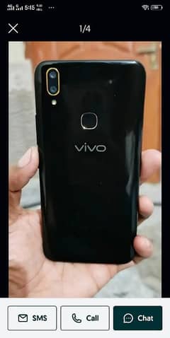 vivo