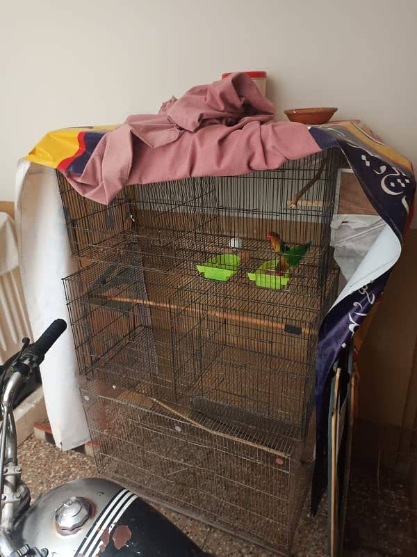 cage for sale 2