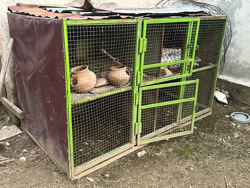 2 cages available 3