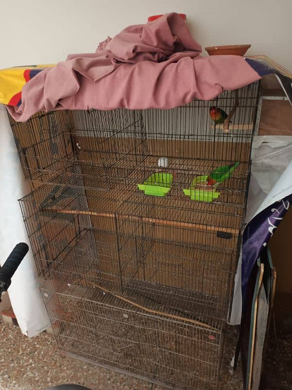 cage for sale 2