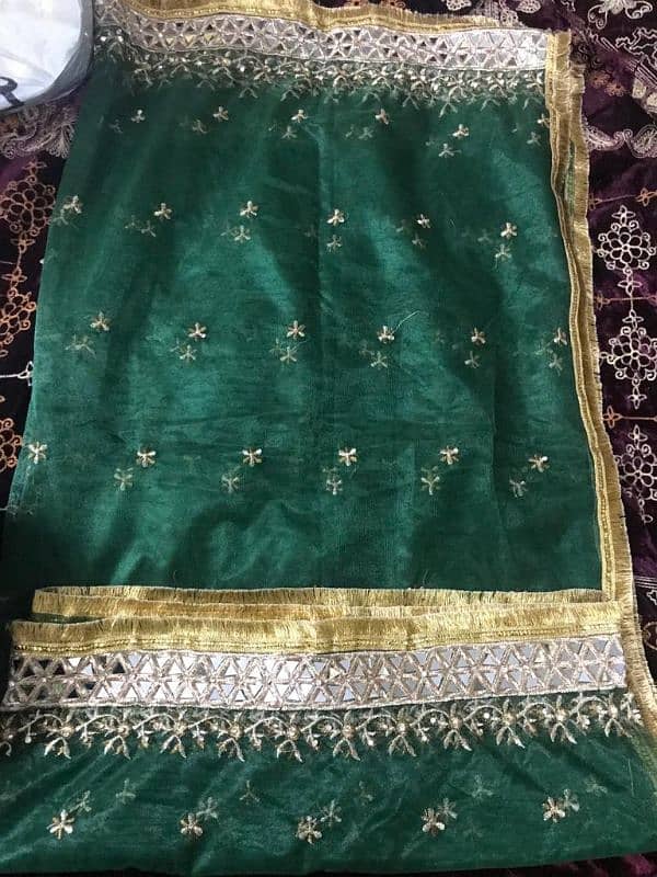 Mehandi lehenga for Sale 1