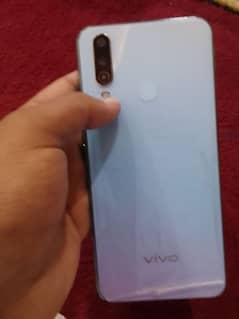 vivo