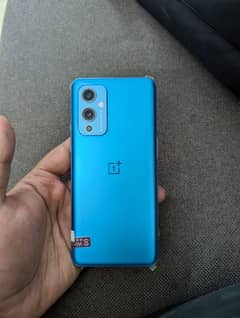 Oneplus 9 12/256