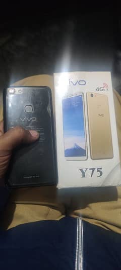 vivo y75 6+128 gb sath box chgar ha