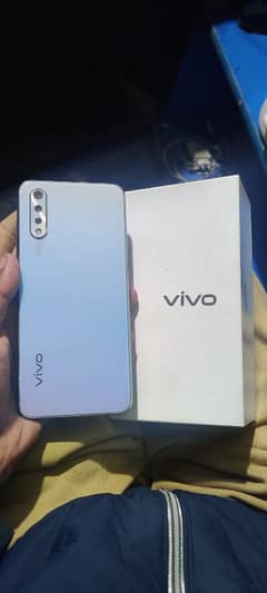 vivo