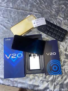 vivo