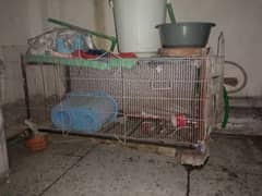 hen cage available