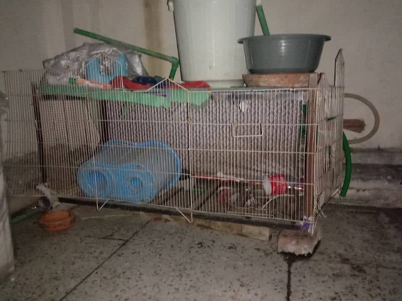 hen cage available 0