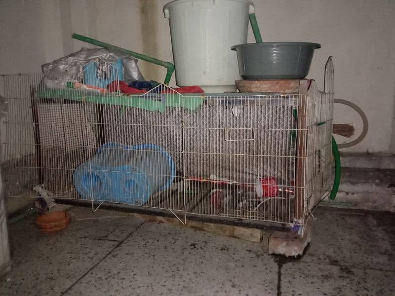 hen cage available 1